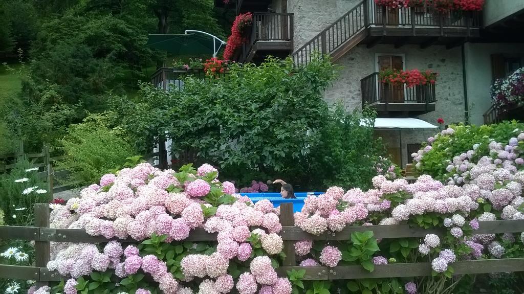 Antica Casa Ortensia Riva del Garda Rum bild