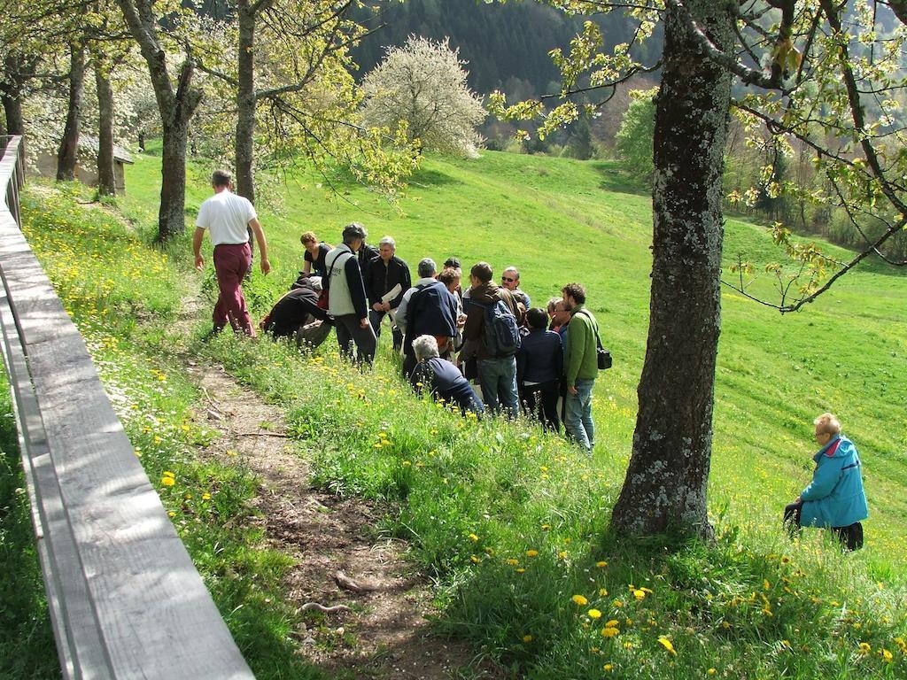 Antica Casa Ortensia Riva del Garda Rum bild