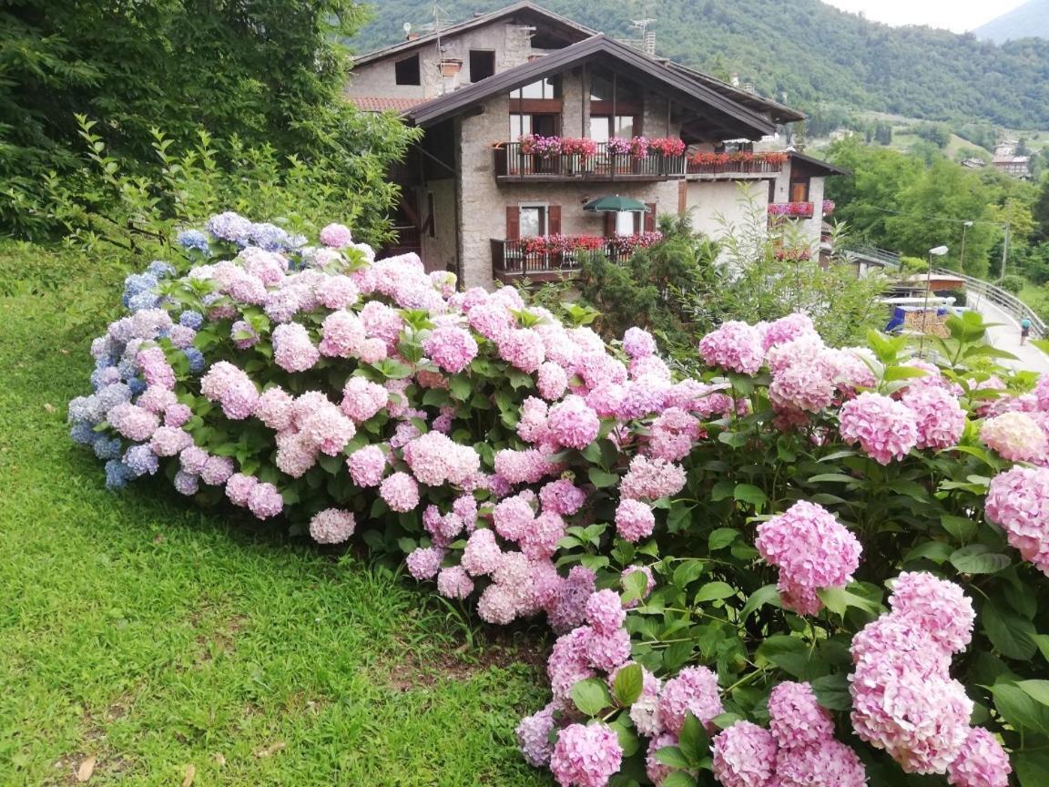 Antica Casa Ortensia Riva del Garda Exteriör bild